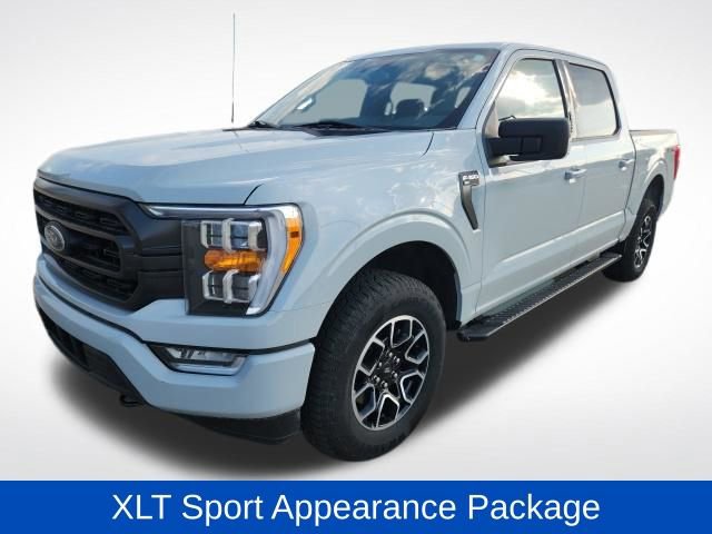 Used 2023 Ford F150 XLT w/ Equipment Group 302A High image 4
