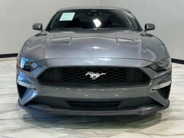 Used 2022 Ford Mustang EcoBoost image 3