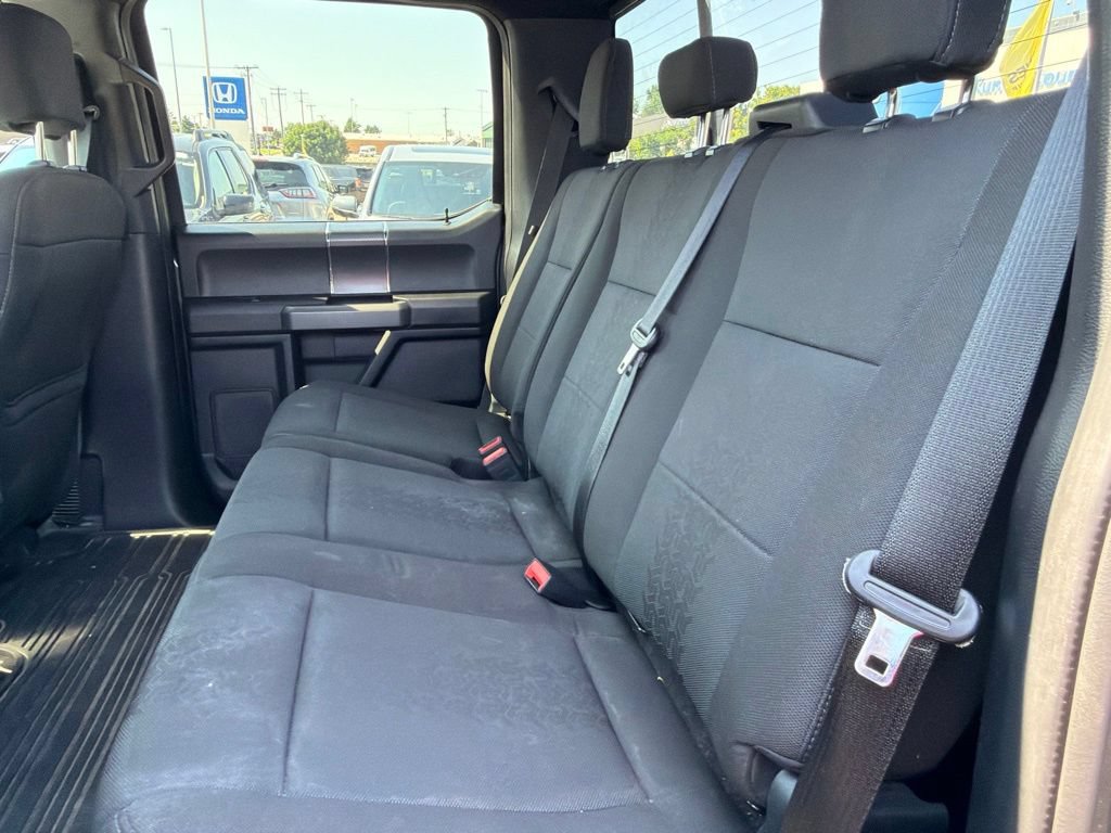 Used 2019 Ford F150 XLT w/ Equipment Group 302A Luxury AWD/4WD image 15