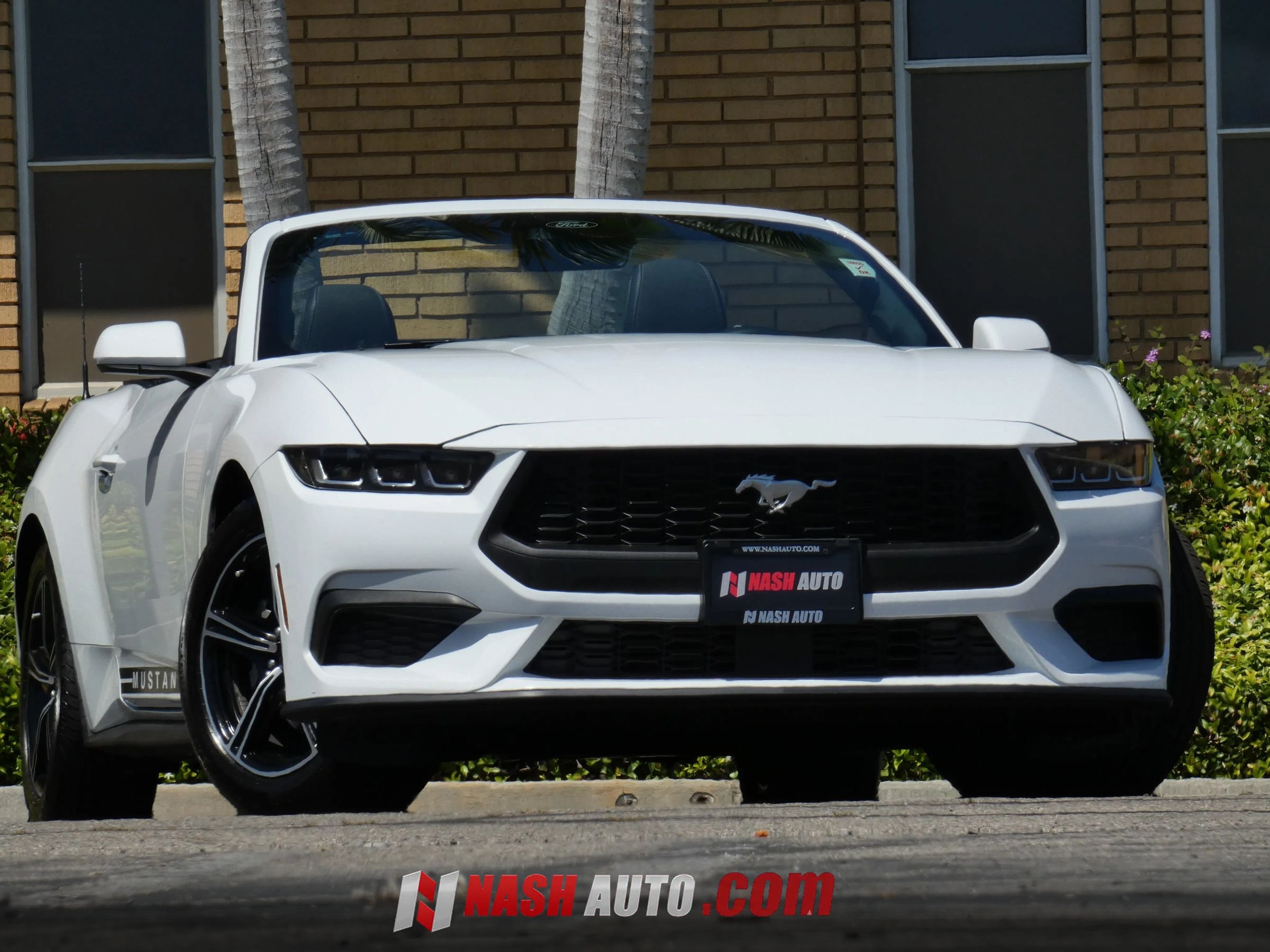 Used 2024 Ford Mustang Convertible RWD image 3