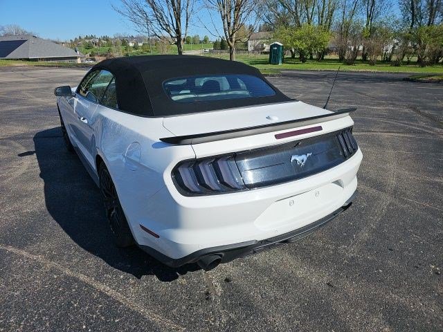 Used 2019 Ford Mustang Premium RWD image 3
