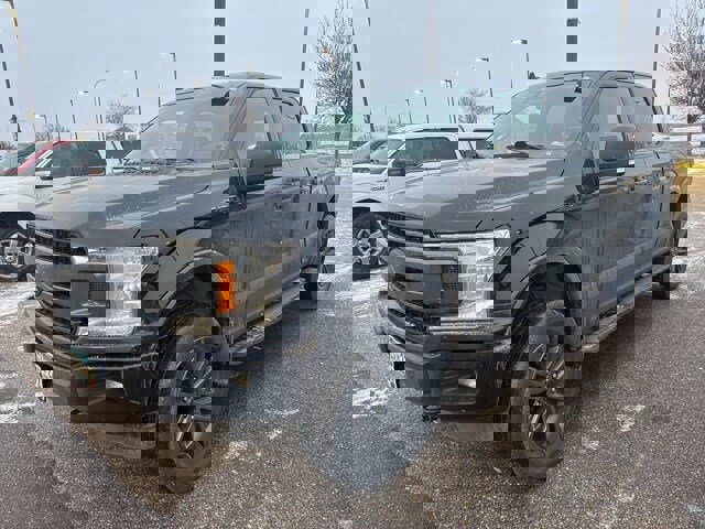 Used 2020 Ford F150 XLT w/ Equipment Group 302A Luxury image 4