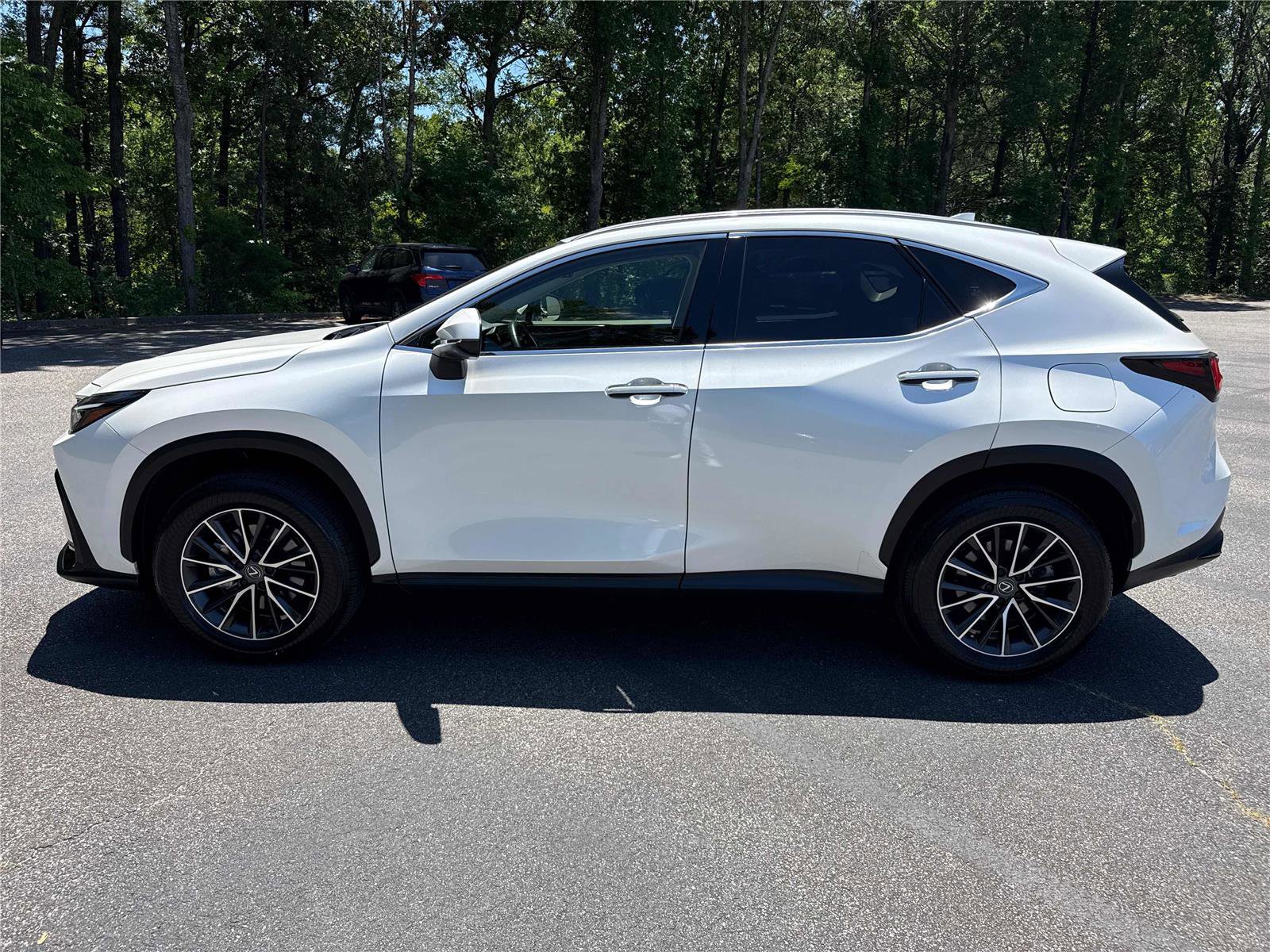 Used 2025 Lexus NX 250 FWD w/ Cold Area Package image 9