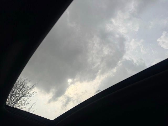 Used 2010 Ford F150 Raptor image 18