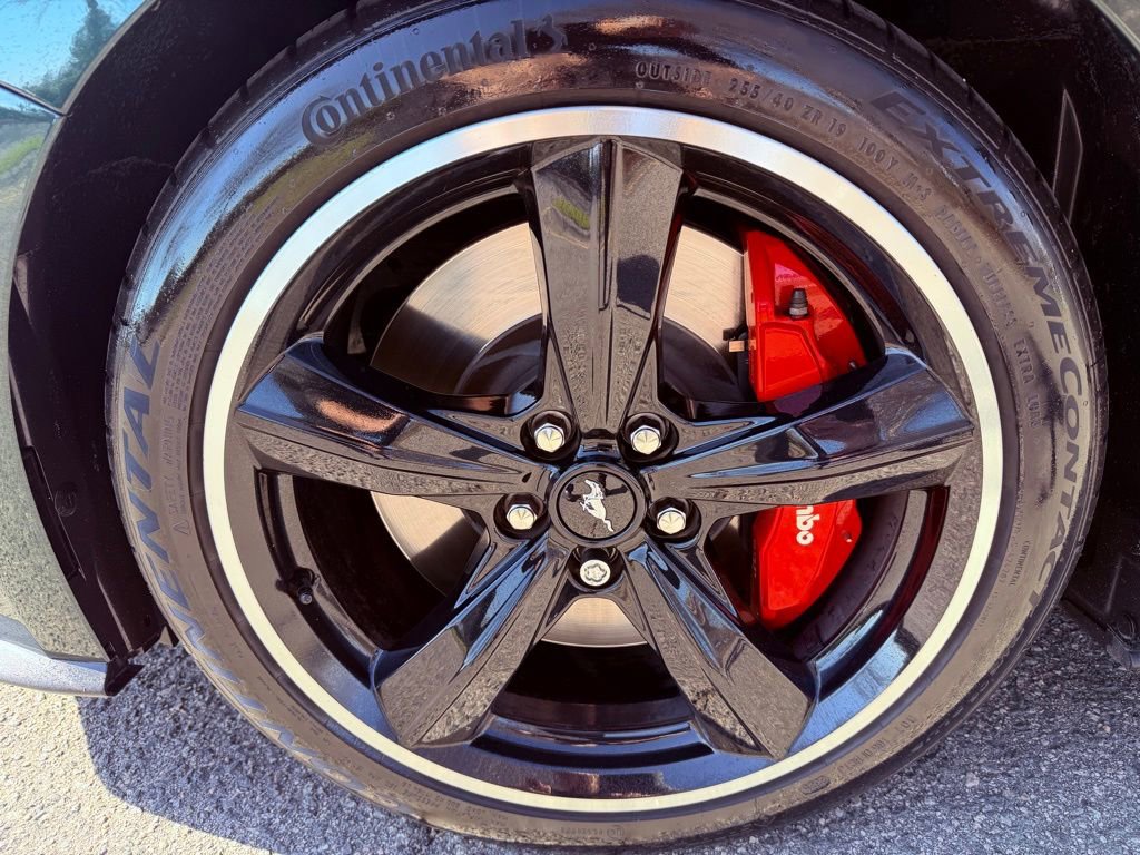 Used 2019 Ford Mustang Bullitt w/ Bullitt Electronics Package image 15