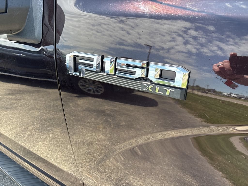 Used 2019 Ford F150 XLT w/ Equipment Group 302A Luxury AWD/4WD image 12