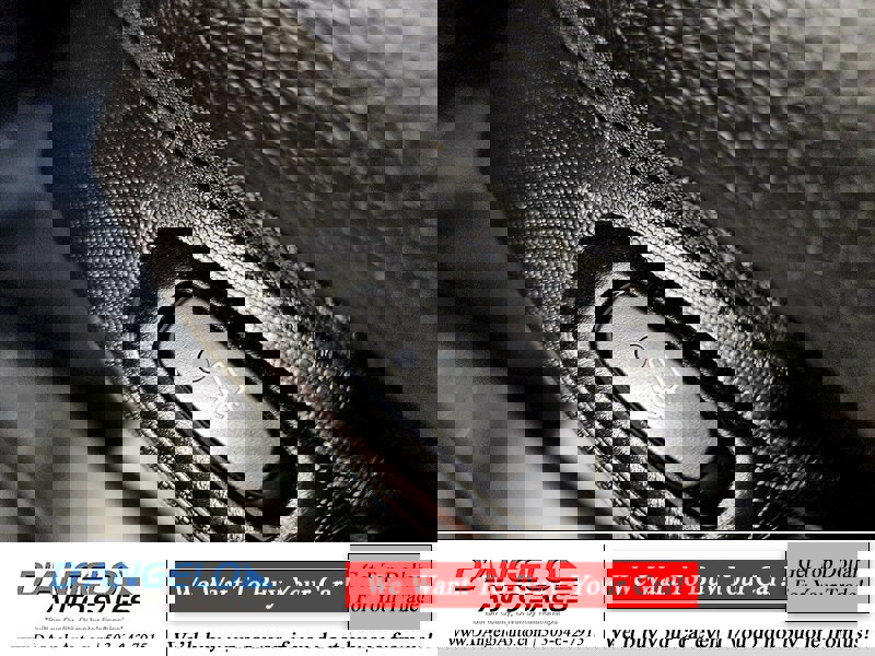 Used 2017 smart fortwo Prime image 27