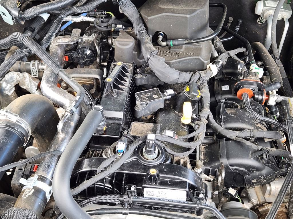 Used 2024 Ford Bronco Everglades image 16