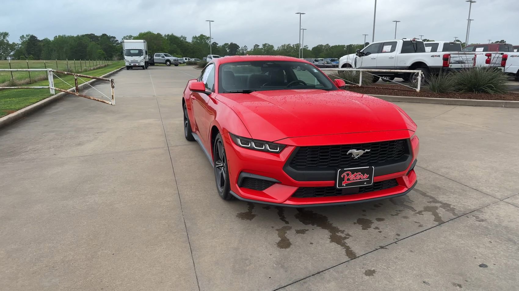 Used 2024 Ford Mustang Coupe image 3