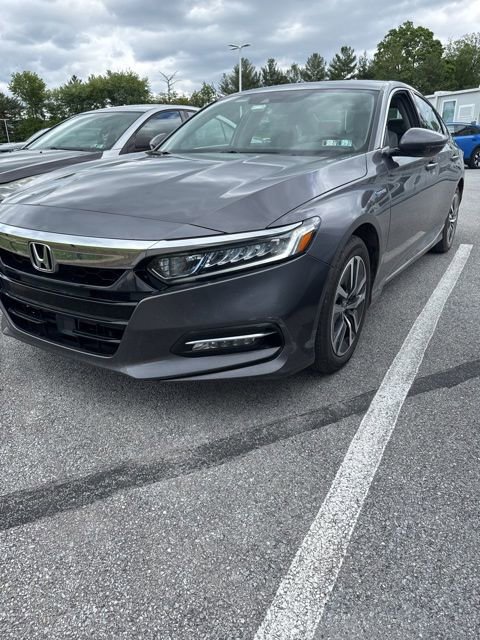 Used 2019 Honda Accord EX-L image 3