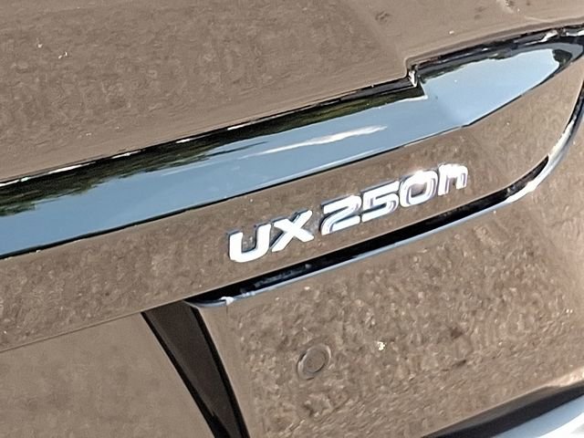 Used 2022 Lexus UX 250h F Sport image 37