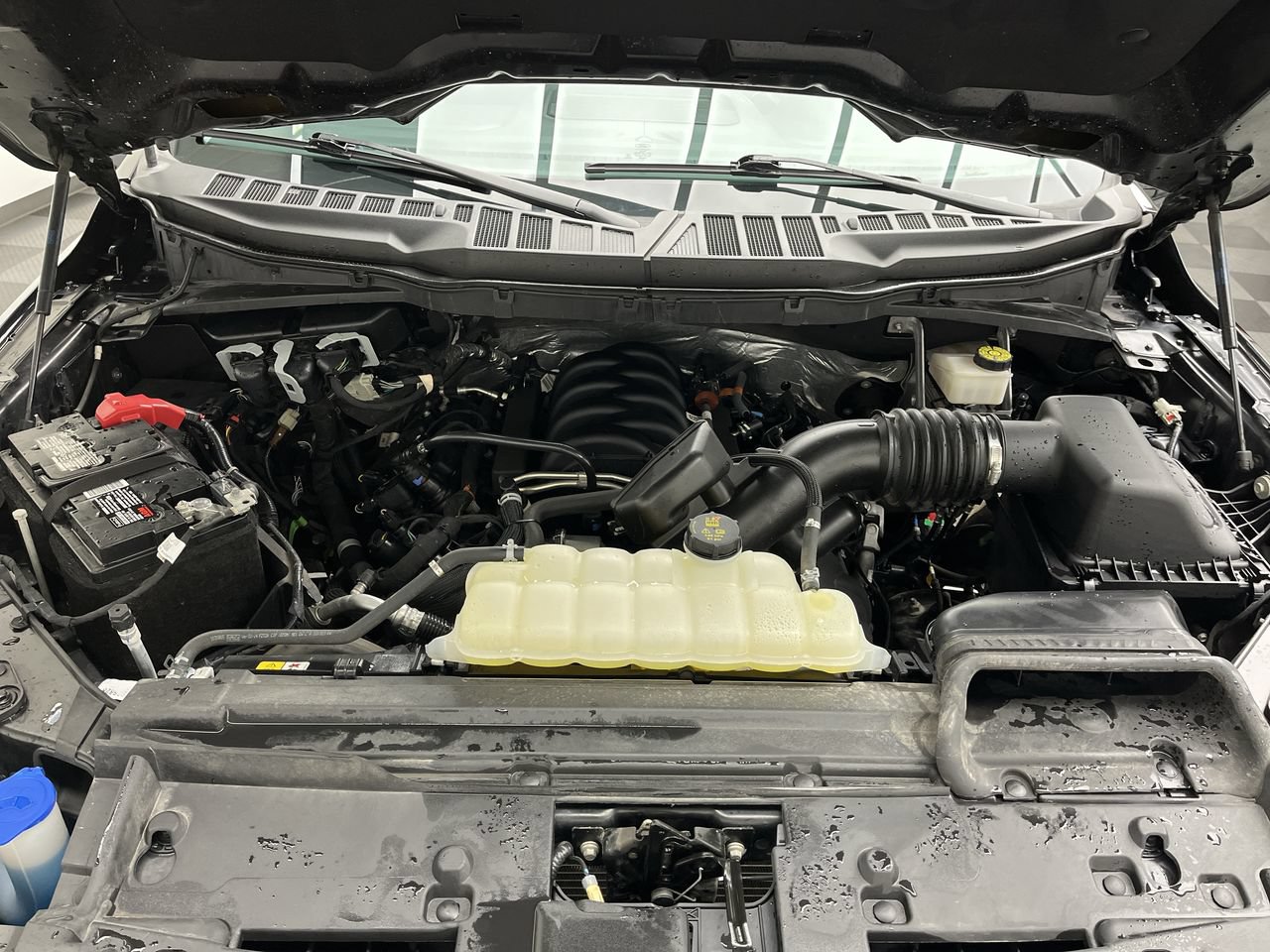 Certified 2024 Ford F150 XLT AWD/4WD image 29