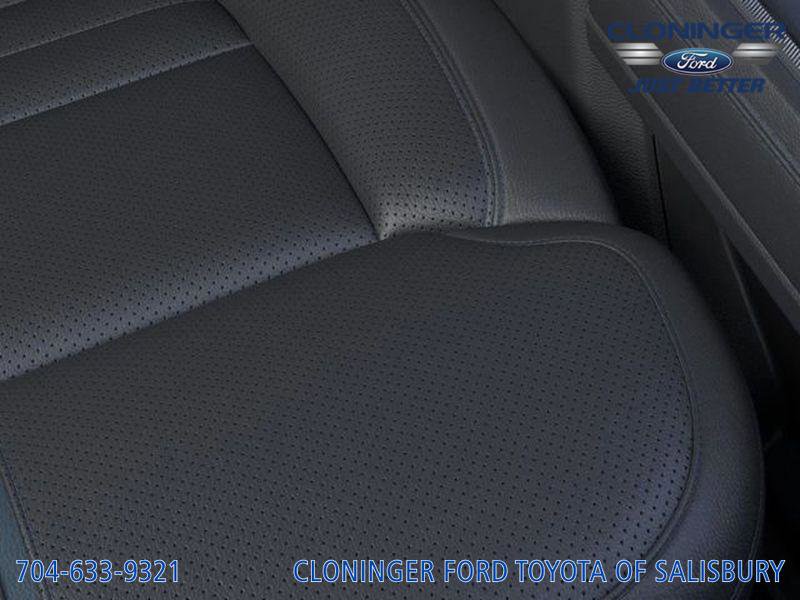 New 2026 Ford F250 Platinum image 19