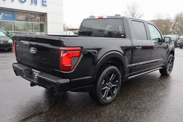 New 2025 Ford F150 STX w/ LOBO Package image 3