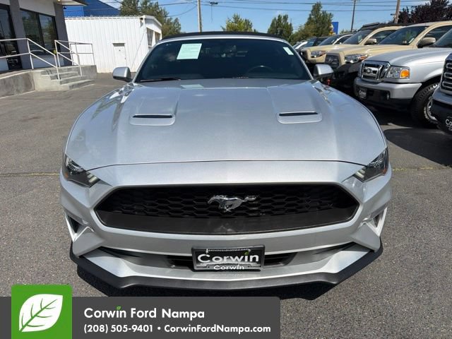 Used 2019 Ford Mustang Premium RWD image 2