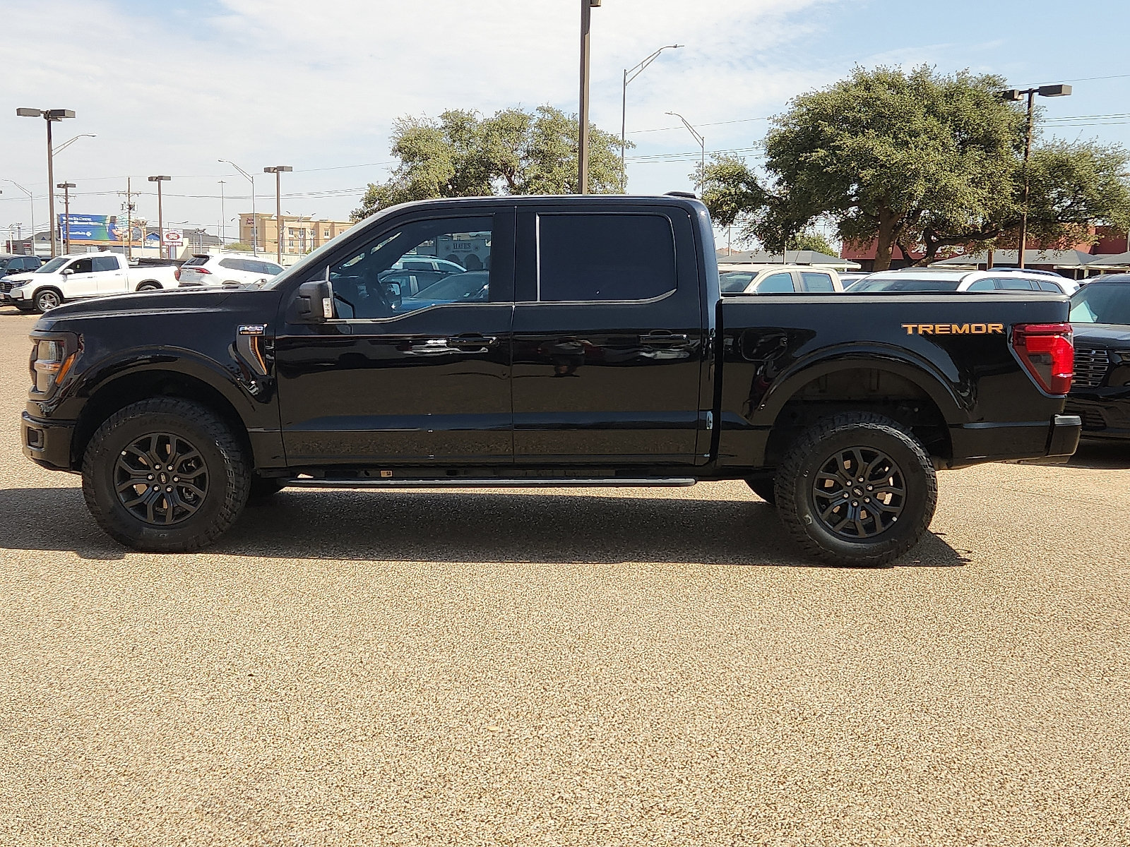 Used 2025 Ford F150 Tremor AWD/4WD image 2