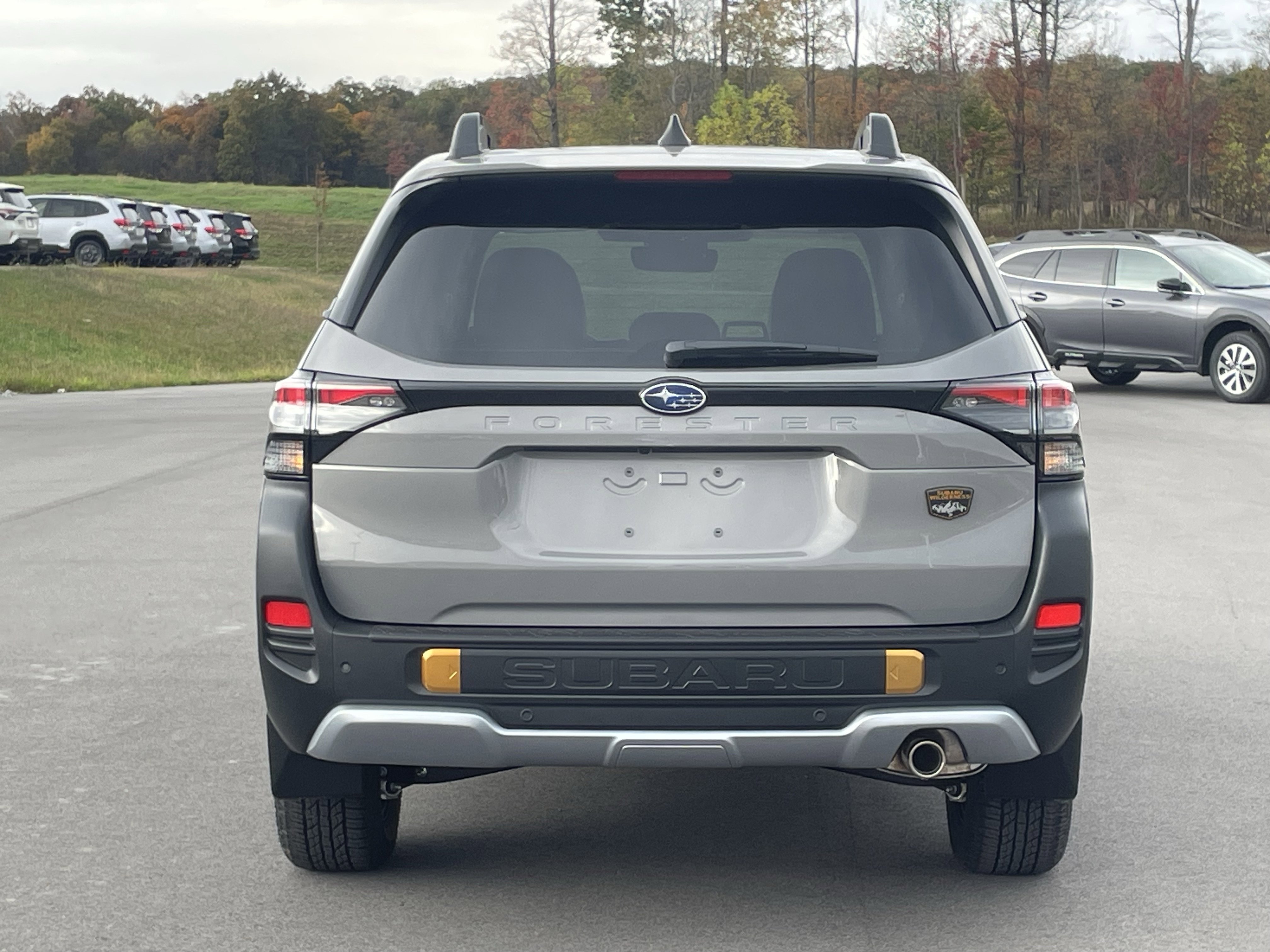 New 2026 Subaru Forester Wilderness image 4