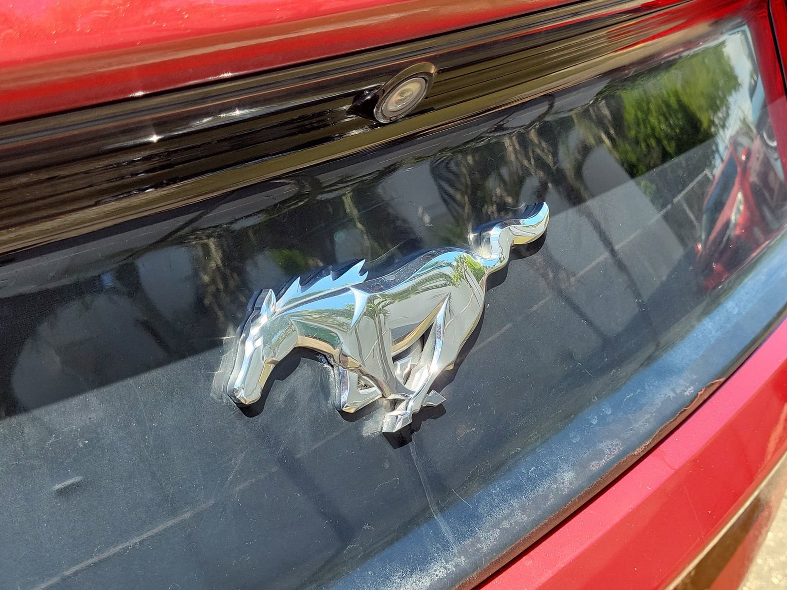 Used 2016 Ford Mustang Coupe RWD image 8