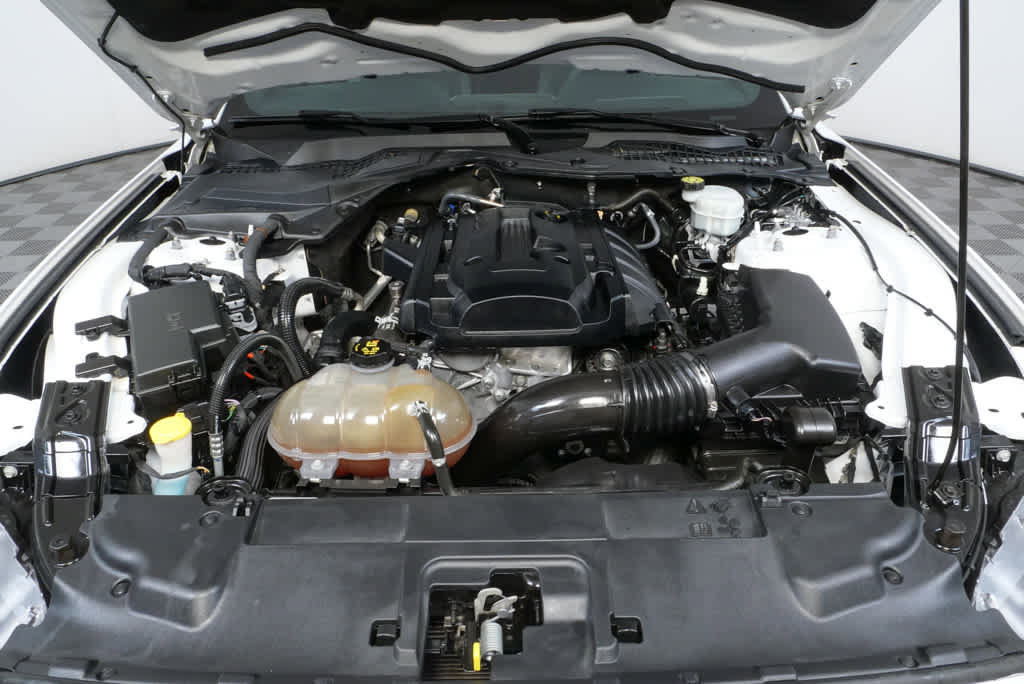 Used 2019 Ford Mustang Coupe image 25