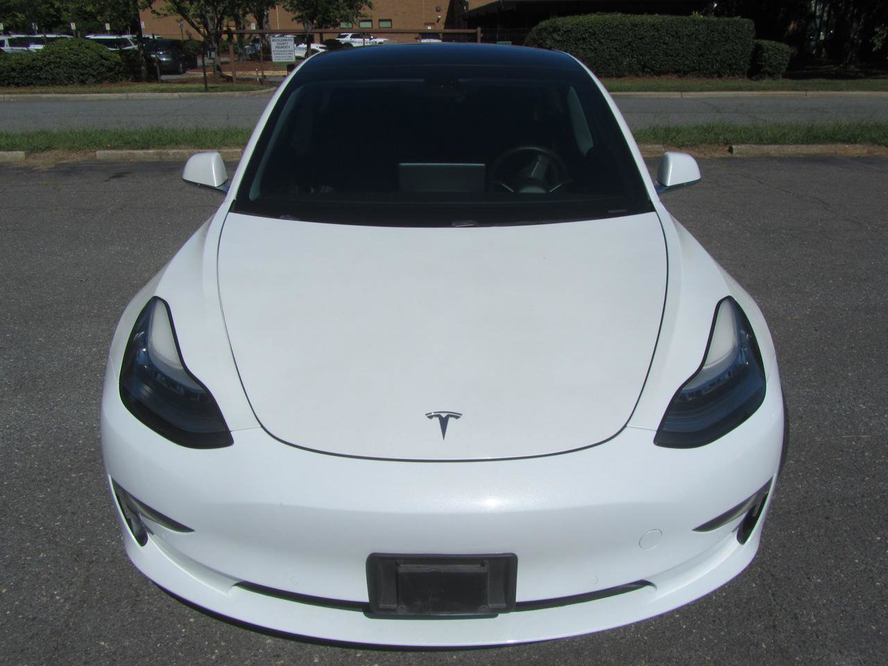 Used 2019 Tesla Model 3 Long Range AWD/4WD image 5