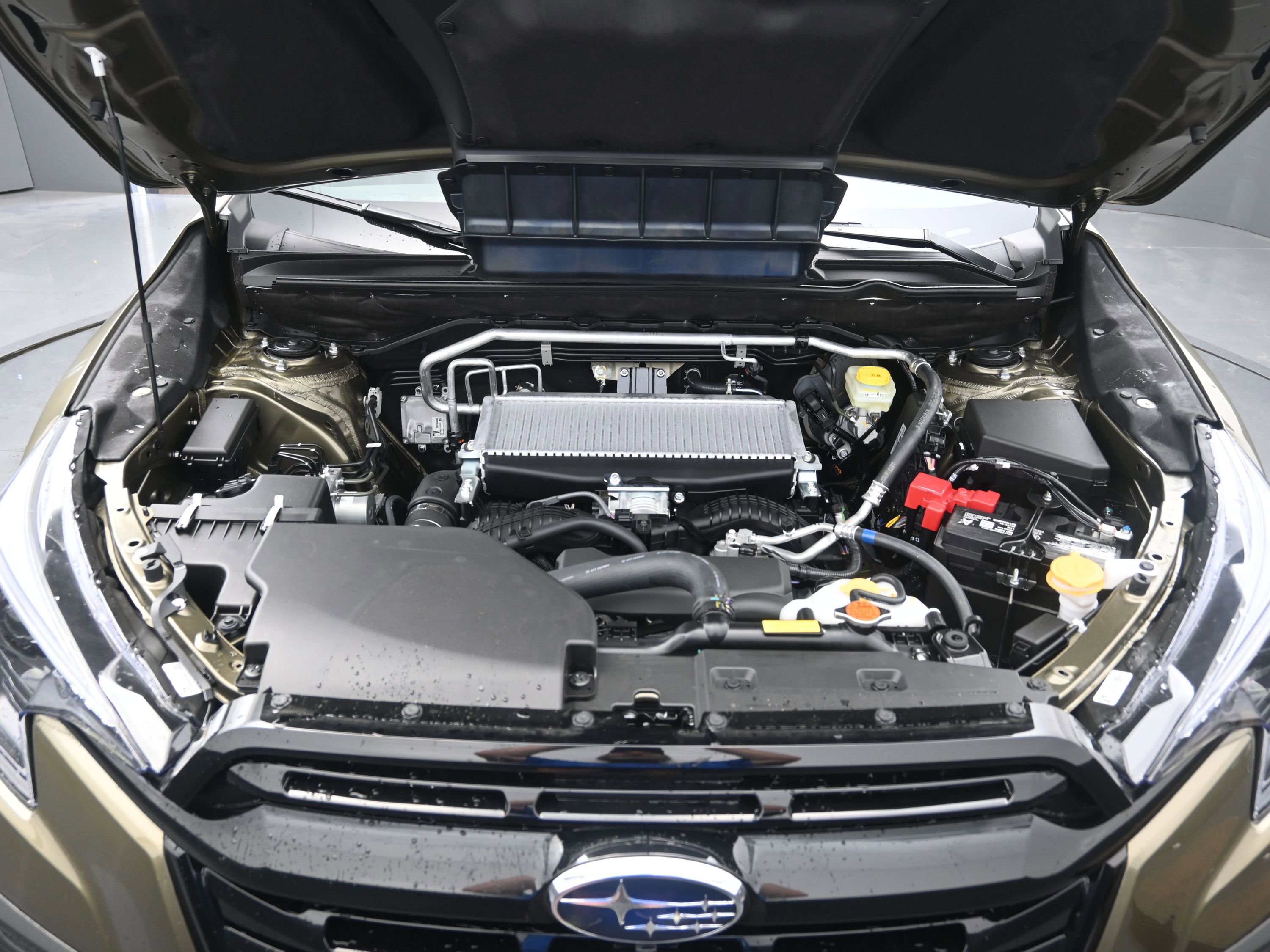 New 2025 Subaru Ascent Bronze Edition image 18