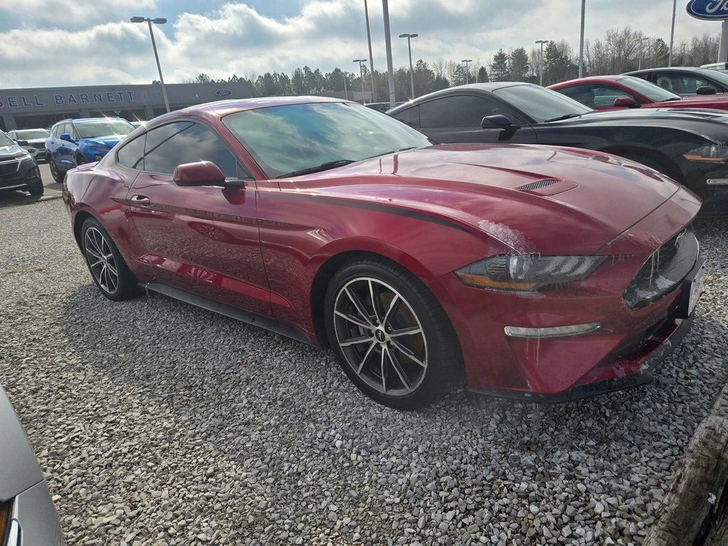 Used 2019 Ford Mustang EcoBoost w/ Equipment Group 101A image 2