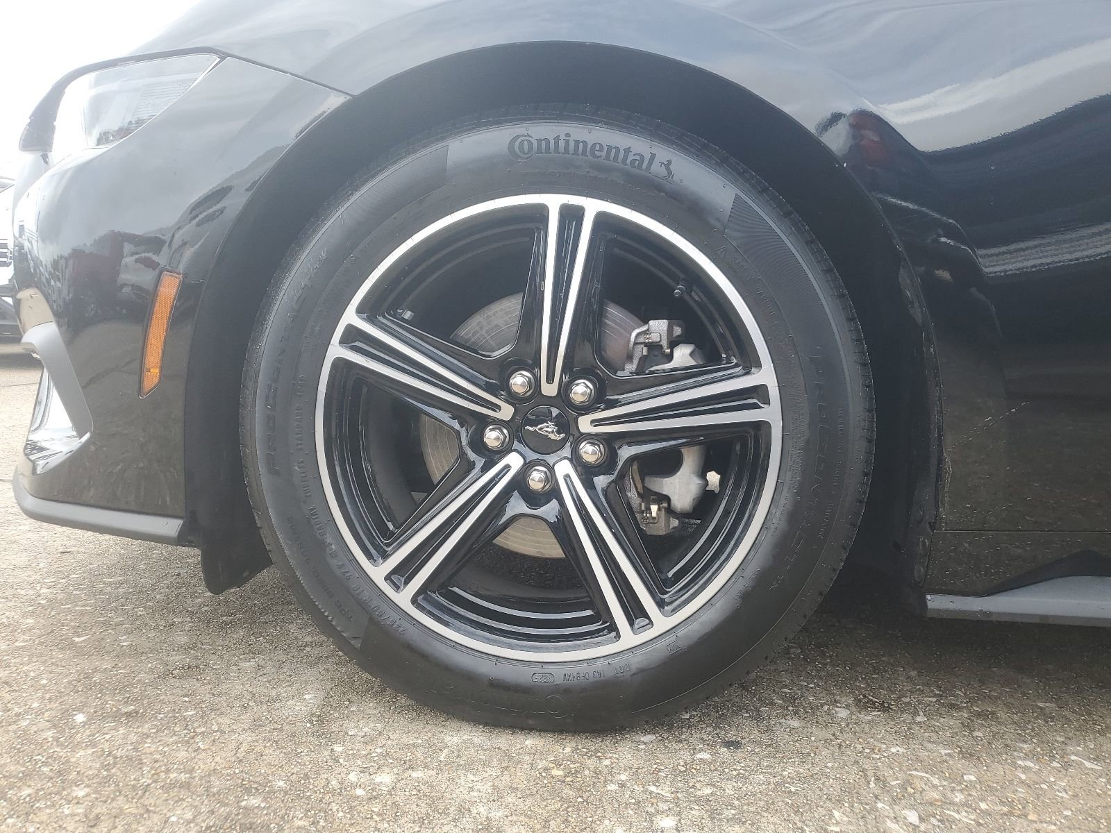 Used 2025 Ford Mustang Premium image 7