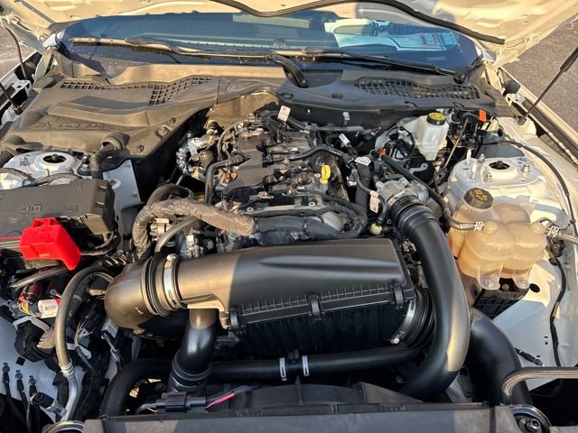 Used 2024 Ford Mustang Coupe image 20