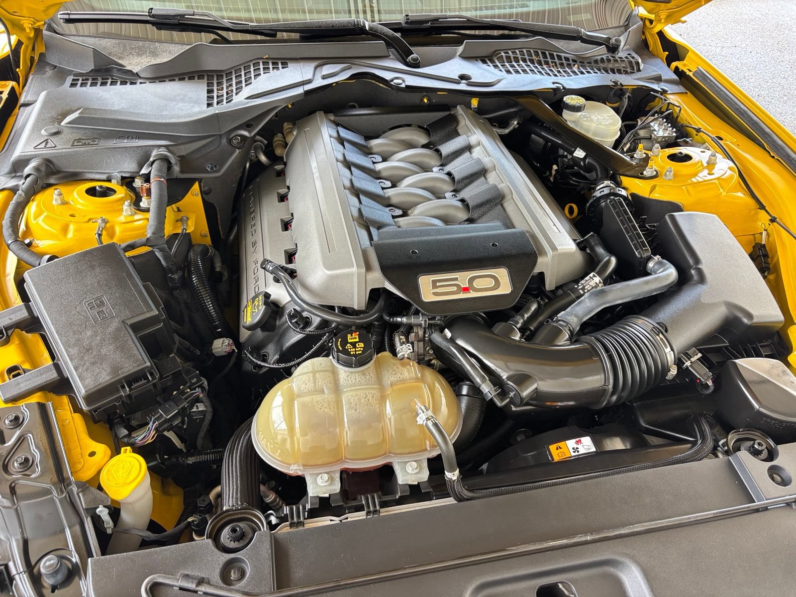 Used 2015 Ford Mustang GT Premium w/ Equipment Group 401A RWD image 12