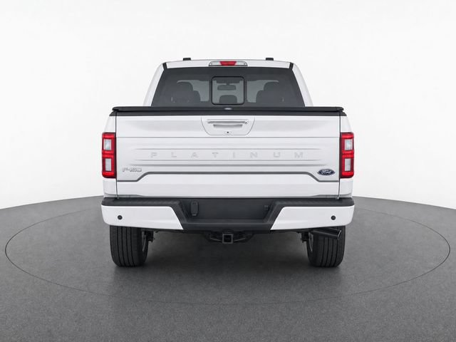 Used 2018 Ford F150 Platinum w/ Equipment Group 701A Luxury AWD/4WD image 6