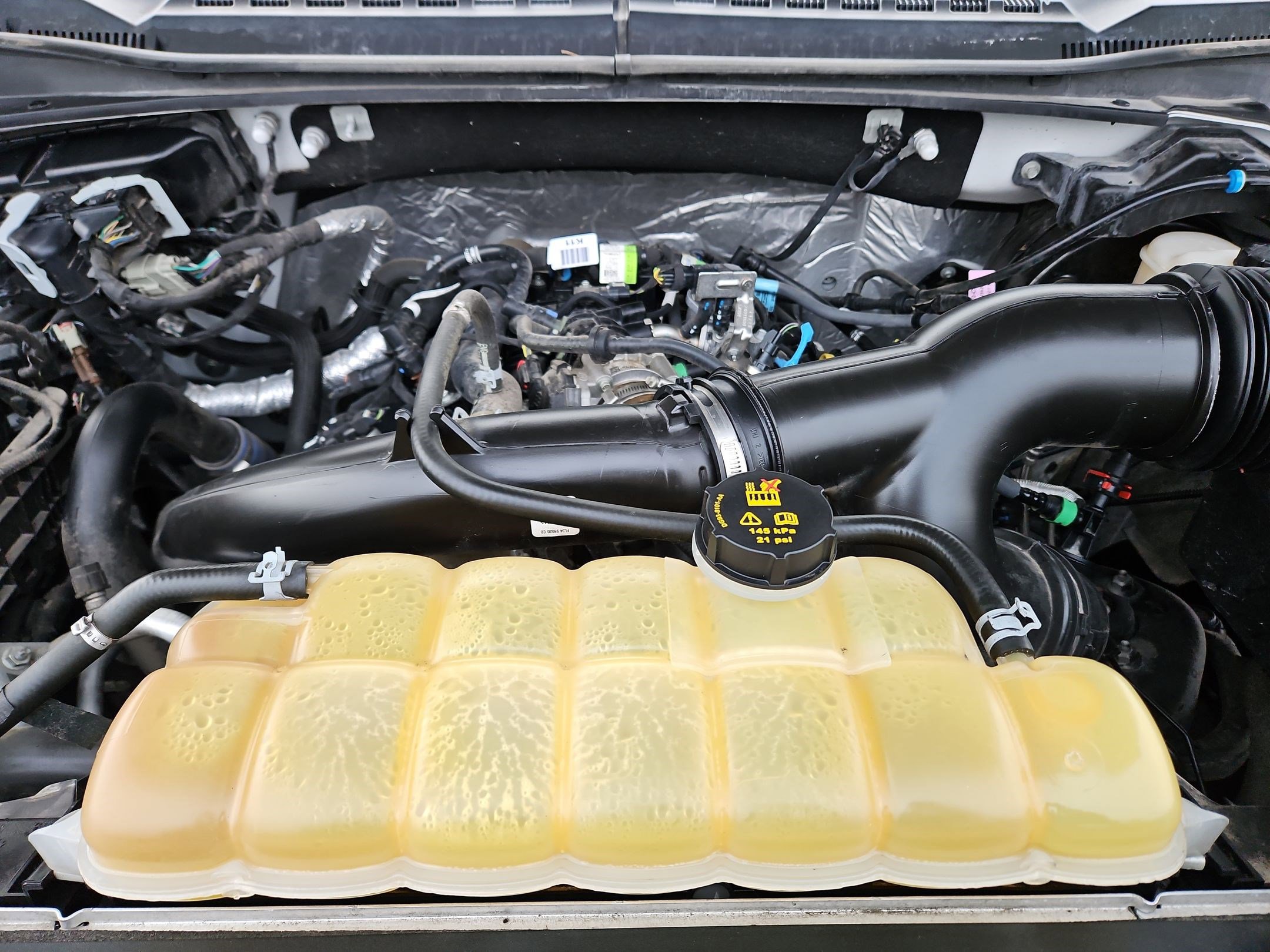 Used 2019 Ford F150 XLT w/ Equipment Group 302A Luxury image 34