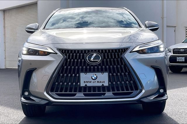 Used 2025 Lexus NX 350h AWD w/ Premium Package image 3