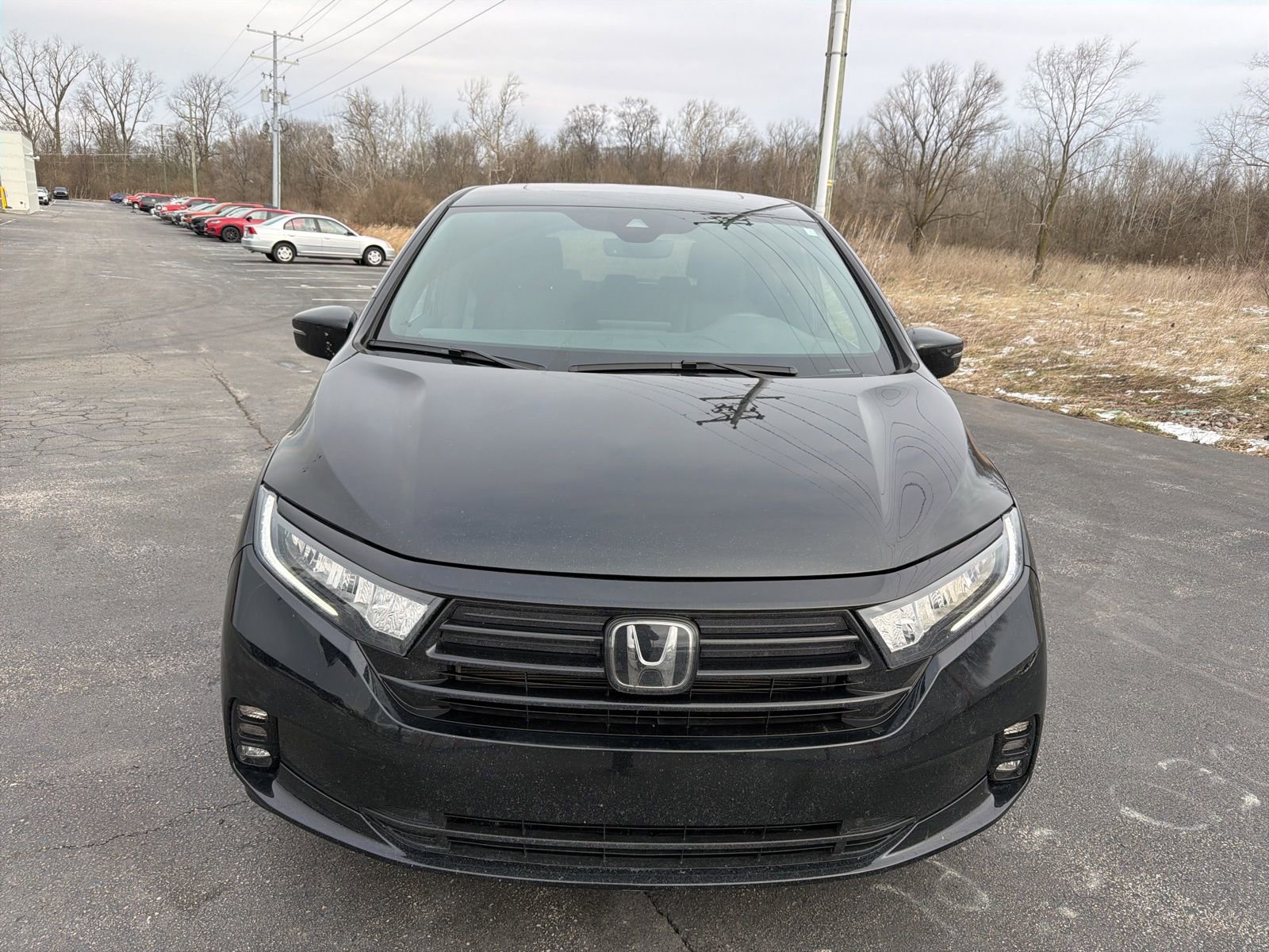 Used 2024 Honda Odyssey Sport image 9