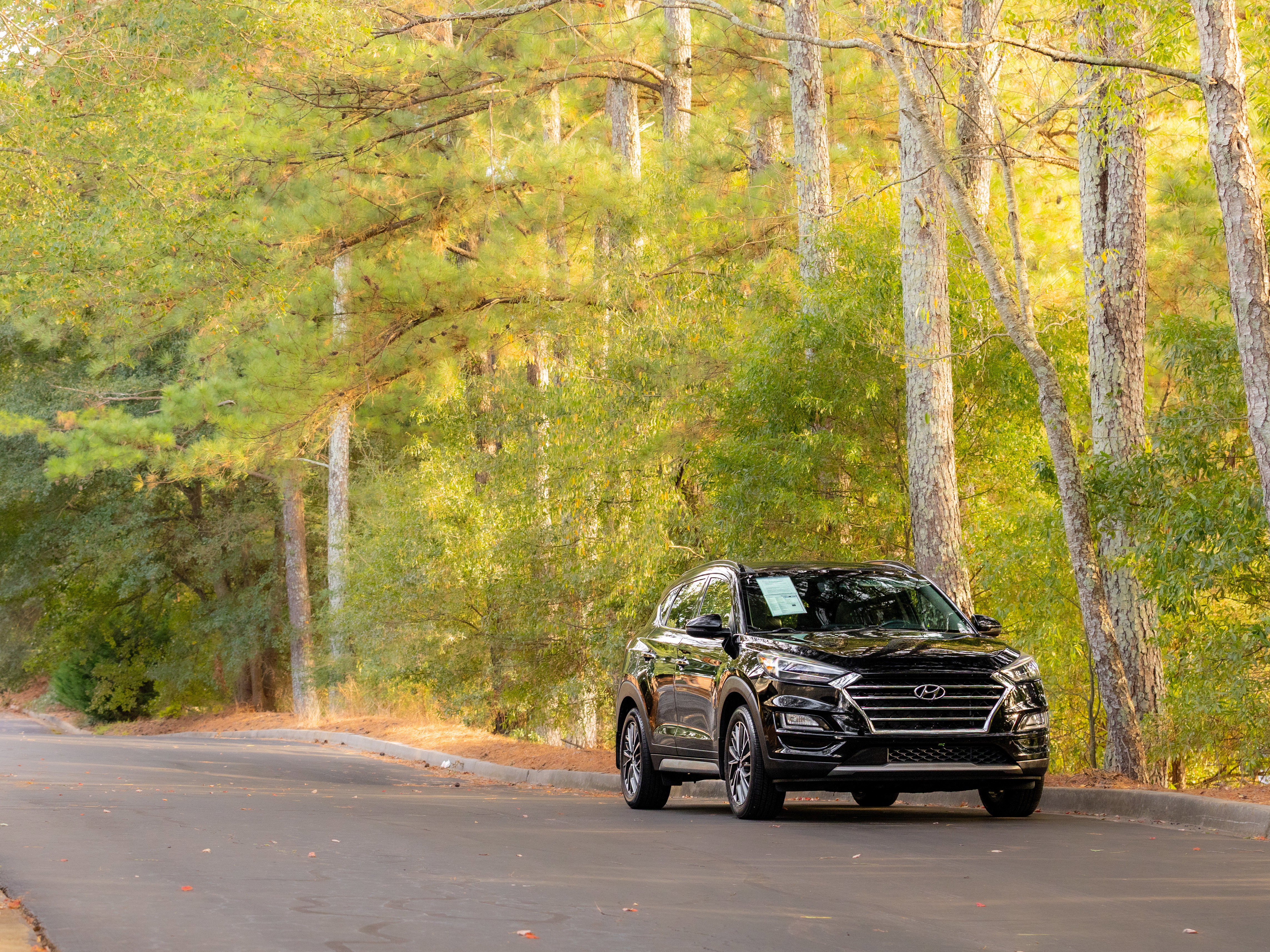 Used 2019 Hyundai Tucson Ultimate image 37