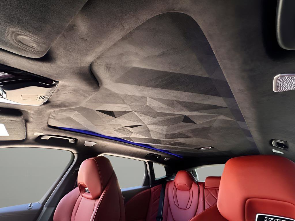 Used 2025 BMW XM Label Red image 25