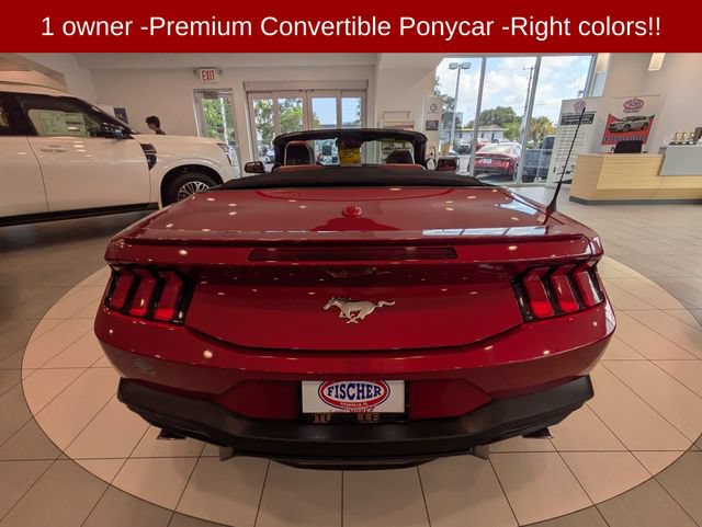 Used 2024 Ford Mustang Premium RWD image 5