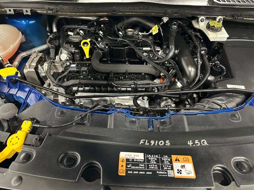 Used 2019 Ford Escape SEL image 63