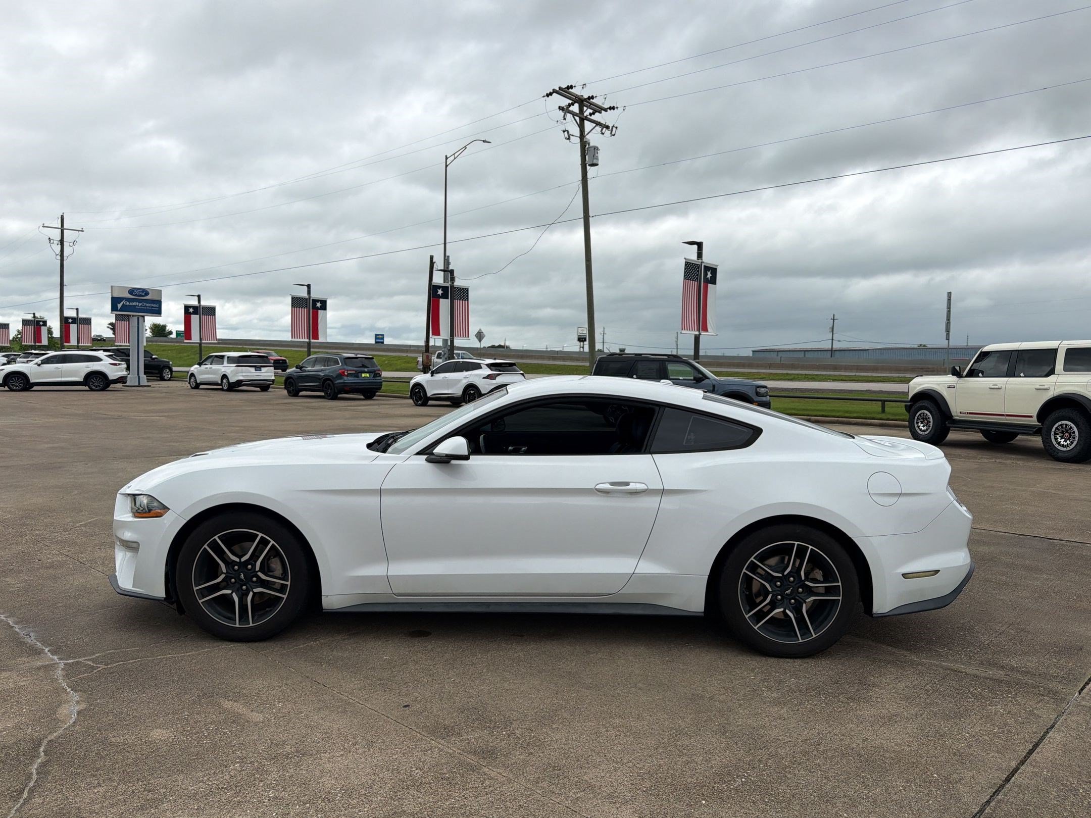 Used 2019 Ford Mustang Premium RWD image 2