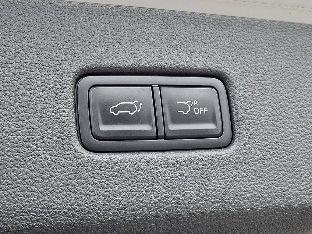 Used 2024 Kia Carnival SX FWD image 32