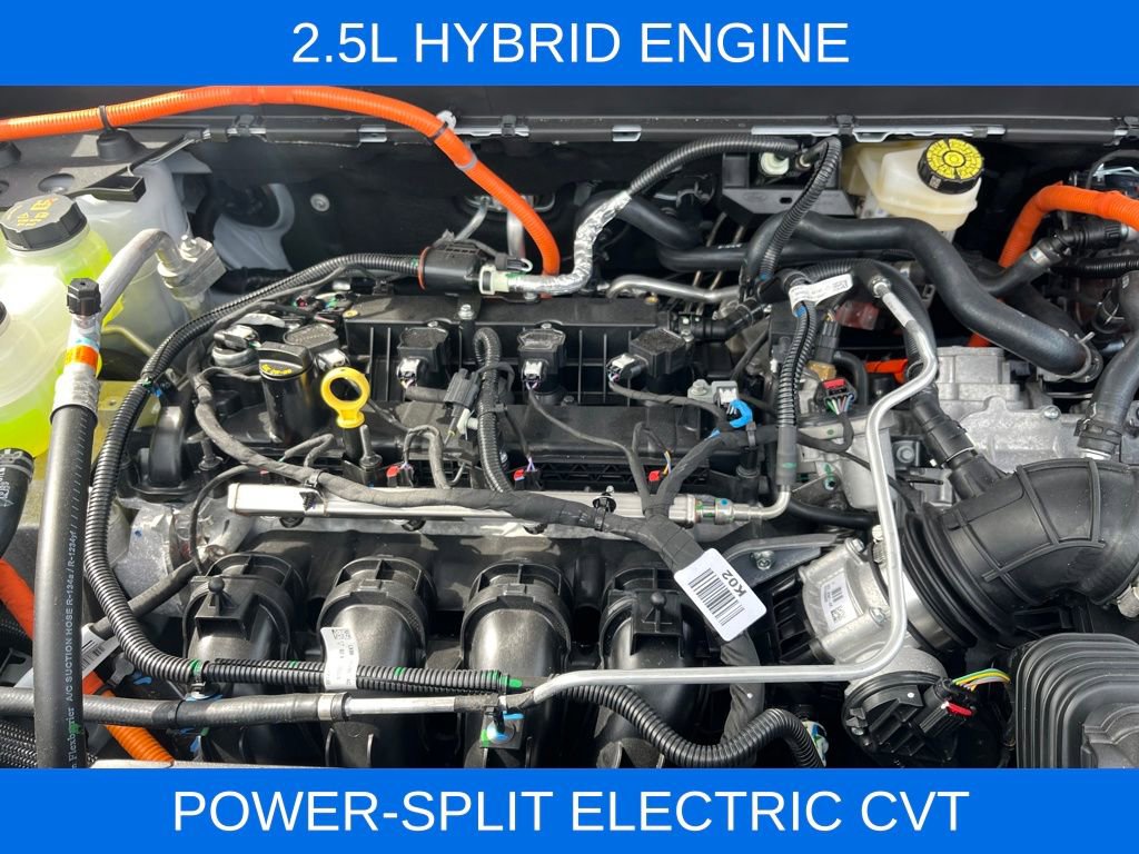 New 2026 Ford Maverick XLT w/ Equipment Group 301A image 4