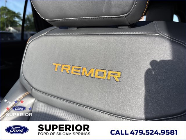 Used 2026 Ford Expedition Tremor AWD/4WD image 28