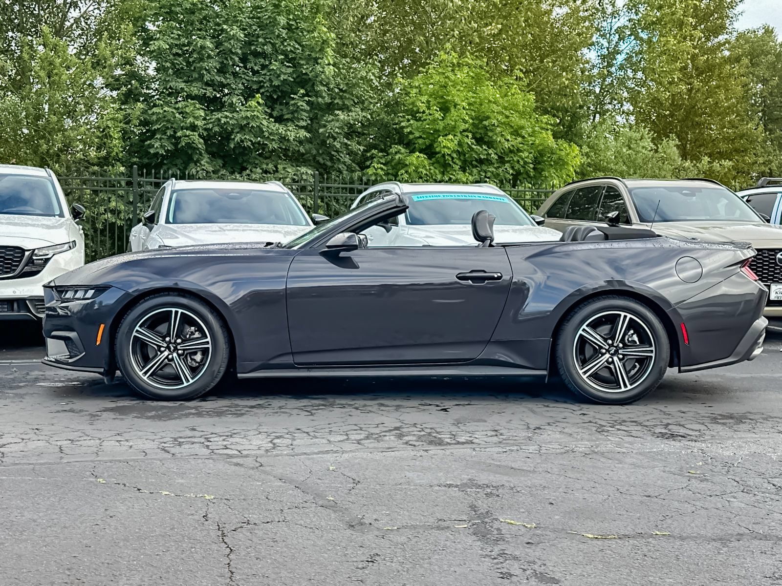 Used 2024 Ford Mustang Premium RWD image 6