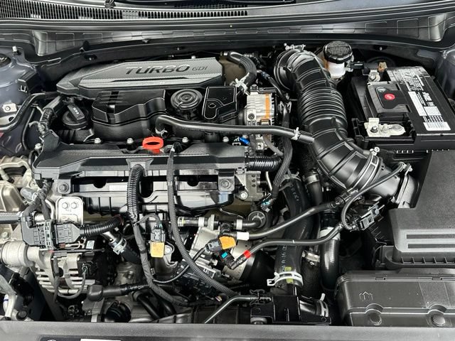 Used 2024 Hyundai Elantra N Line FWD image 9