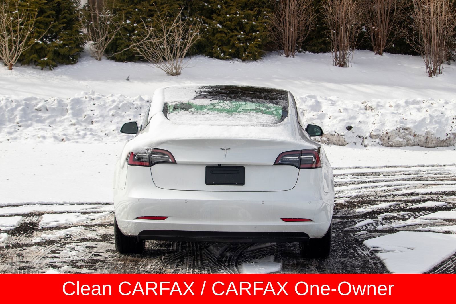 Used 2022 Tesla Model 3 Standard Range image 7