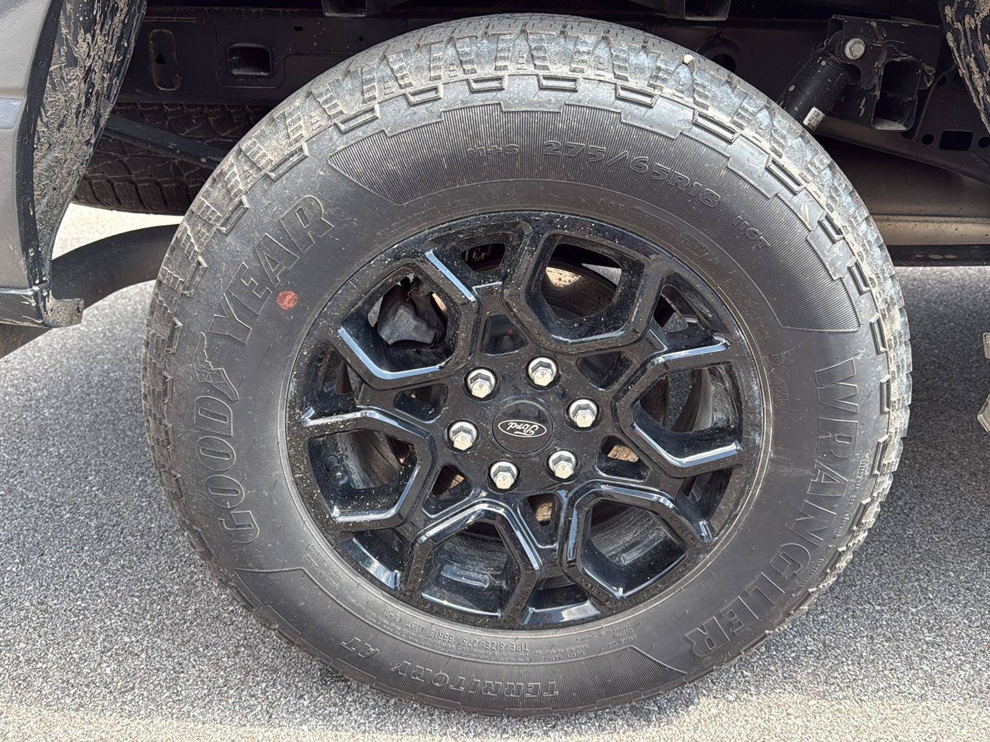 Used 2025 Ford F150 XLT w/ Equipment Group 301A Standard AWD/4WD image 13