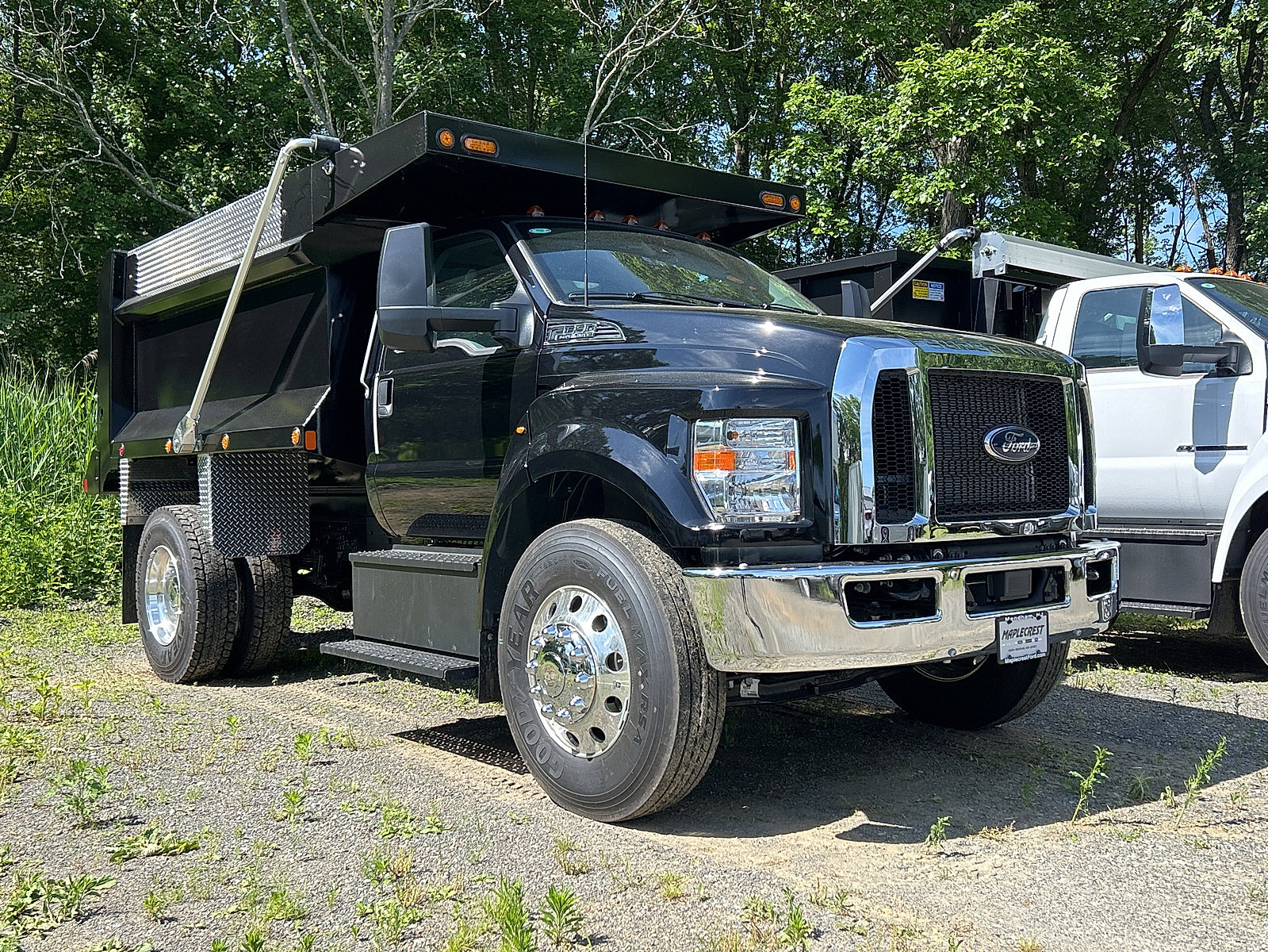 New 2025 Ford F650 2WD Regular Cab Super Duty image 3