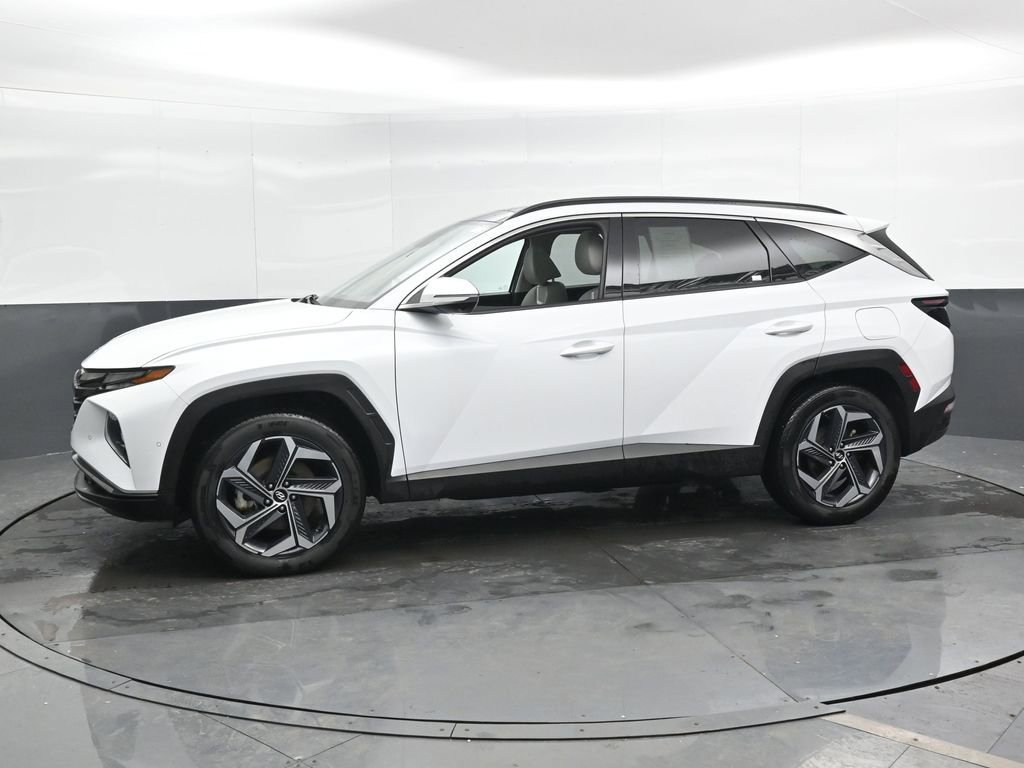 Used 2024 Hyundai Tucson Limited image 7
