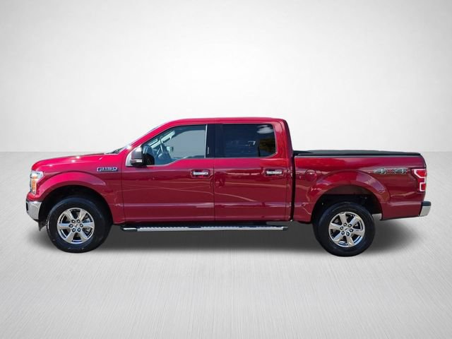 Used 2019 Ford F150 XLT w/ Equipment Group 302A Luxury AWD/4WD image 7