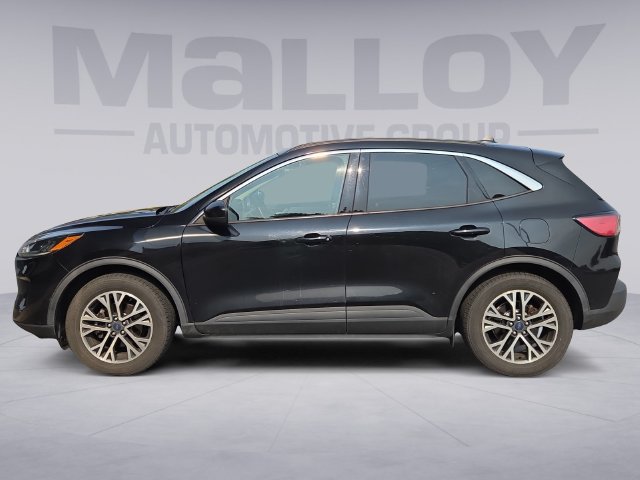 Used 2020 Ford Escape SEL AWD/4WD image 2