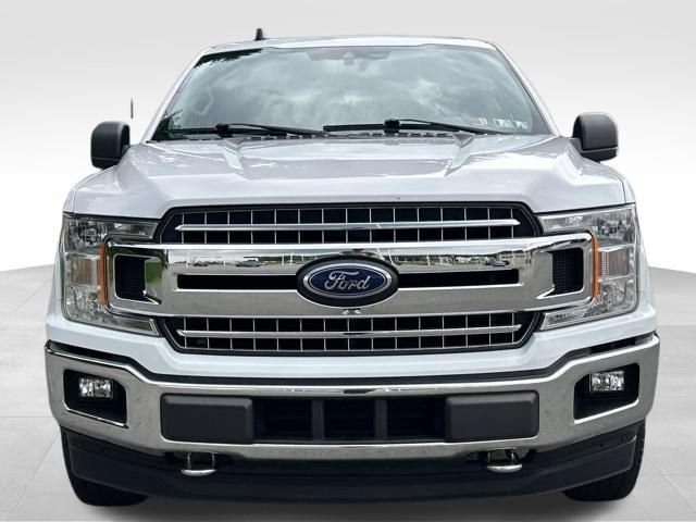 Used 2019 Ford F150 XLT w/ Equipment Group 302A Luxury AWD/4WD image 8